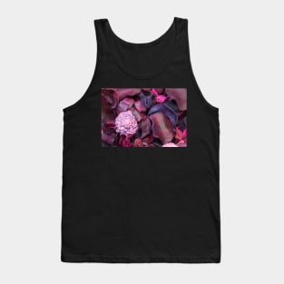 PotPourri background Tank Top